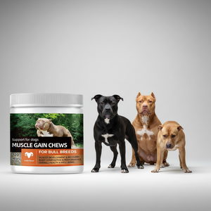 Muscles Soft Chews Complément alimentaire <span class=keywords><strong>pour</strong></span> la santé des chiens Renforcement musculaire Prise de poids Renforcement immunitaire Soutien articulaire Vitamines Calcium - Product Image 1