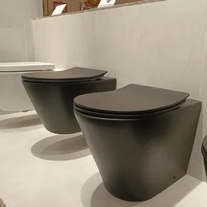 Bolina W8591High Quality Wall-hung Hanging Rimless Ceramic Wall Mounted Bowl Wc Bathroom Matt Black Color Wall Hung Toilet