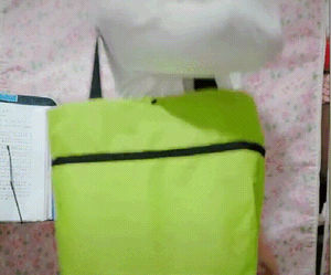 Carrito de Compras Plegable con Ruedas, Bolsa de Supermercado Reutilizable, Organizador de Alimentos, Bolsa para Verduras, Bolso de Mano para Mujer, Bolsa de Viaje - Product Image 3