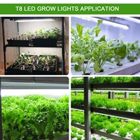 Spectre complet LED élèvent la lumière blanc chaud 1FT ~ 8FT 5000K 6500K Linkable T8 Tube pour l'agriculture intérieure jardin plante serre