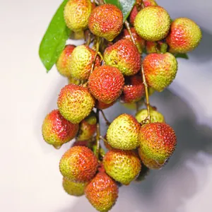 Fresh Juicy Lychee Lichee Litchi Lichi Fresh Fruit (Fi Tsz Siu)