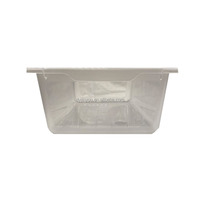 Baignoire transparente en PP avec boule python, boîte d'élevage de reptiles, plateau de support de serpent 63x38x13.5cm, bassin de serpent, nouvelle collection