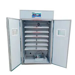 Fornitura d'acqua automatica capacità di 1056 uova incubatrice automatica completa per uova di gallina in vendita