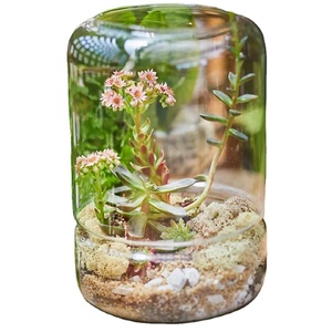 Custom Made Hand-blown Clear Glass DIY <strong>Terrarium</strong> <strong>Kit</strong> - Product Image 1
