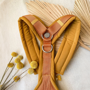 Lüks tasarımcı evcil hayvan yeleği y-koşum Boho Oem/Odm fabrika hiçbir ayarlanabilir kişiselleştirilmiş kedi koşum köpek tasması çekerek ve tasma seti - Product Image 3