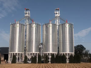 Torre <span class=keywords><strong>de</strong></span> Alimentación Pequeña <span class=keywords><strong>de</strong></span> Acero Inoxidable, Silo <span class=keywords><strong>de</strong></span> Grano Doméstico para Uso en Granjas Avícolas - Product Image 6