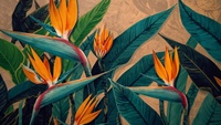 Papier peint autocollant, feuilles vertes-bleues, fleurs orange, oiseau de paradis tropical vintage, murale pour salon, chambre à coucher