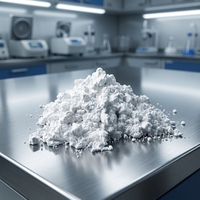Polvo Nano de Óxido de Aluminio Gamma (Al2O3) Termoconductor Electrónico, 99.9% de Pureza, Polvo Blanco para Recubrimiento Cerámico