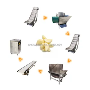 High Quality Garlic Suppliers Onion Garlic Peeling Production Line Garlic Separating Powder Maker Making Machine