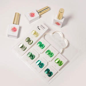 AILANUO 9 couleurs oeil de chat Gel Net rouge populaire vernis à ongles costume haute qualité manucure outils bouteille mode européenne américaine - Product Image 5