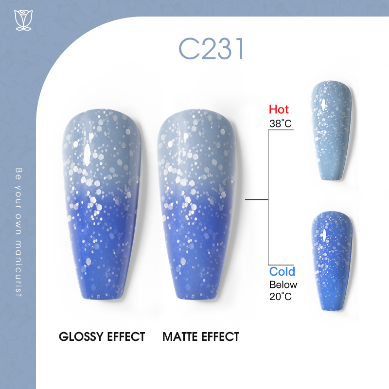 C231