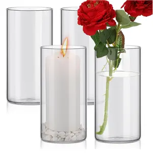 批发耐热高透明北欧小蜡烛hurri-cane玻璃硼硅酸盐花瓶花卉装饰桌圆筒花瓶