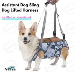 สายรัดสุนัขแบบปรับได้ Oxford สำหรับหลังผ่าตัด ช่วยพยุงสุนัขได้อย่างมีประสิทธิภาพ เหมาะสำหรับสุนัขสูงวัย ผู้พิการ และสุนัขที่บาดเจ็บ - Product Image 2