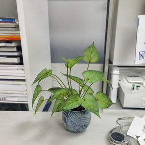 Haute qualité <span class=keywords><strong>en</strong></span> direct artificielle verdure eau <span class=keywords><strong>Arum</strong></span> feuille résistant aux UV herbe pour la maison bureau décor fleurs Branches ornement extérieur - Product Image 3