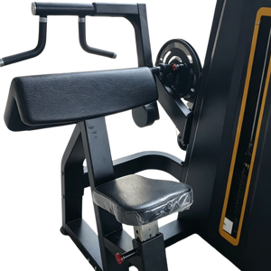 Équipement <span class=keywords><strong>de</strong></span> fitness <span class=keywords><strong>de</strong></span> haute qualité RA - Machine à flexions <span class=keywords><strong>de</strong></span> bras la plus vendue pour les entraînements des biceps et des triceps - Product Image 3
