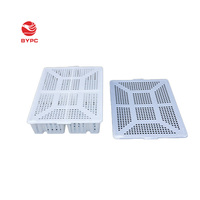 Boîtes de transport pour poussins de 80 à 100 oiseaux, boîtes en plastique pour poussins d'un jour