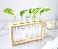 Dinding dipasang tanaman gantung terarium tabung uji bunga kuncup meja berdiri kayu dengan 5 tabung uji warna alami