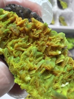 Cristal d'Autunite vert fluorescent naturellement présent, en bloc et en forme de cube, provenant de l'extraction locale du Hunan, collection de spécimens