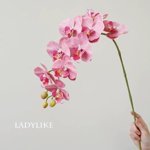 Orchidées artificielles Phalaenopsis en soie, fleurs pour mariage, décoration de la maison, ornement réutilisable - Product Image 4