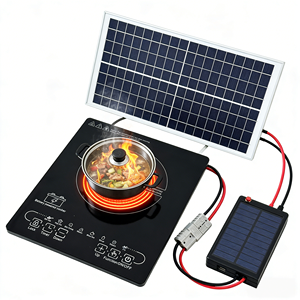 直流24V/48V太阳能感应炉，电池供电，新设计，适合室内/室外使用，灵感来自美国酒店、汽车、房车 - Product Image 1