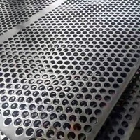 Tôle d'acier inoxydable microperforée Tôle métallique perforée