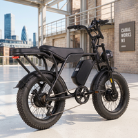 Vélo Électrique Fat Bike 60V 30Ah 7 Vitesses 30mph Pneus Larges 20*4 Frein à Disque Hydraulique, Stock Local US OEM ODM