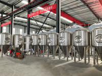 Réservoir de fermentation conique à double enveloppe de haute qualité 1000L 10BBL 10HL 2000L avec trappe latérale, équipement de brassage de bière artisanale