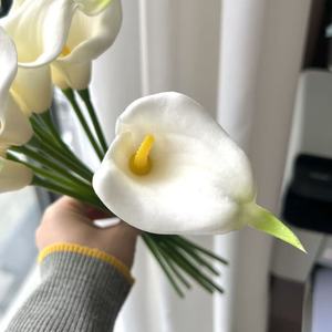Mini Calla Lily en PU pour décoration <span class=keywords><strong>de</strong></span> mariage et <span class=keywords><strong>de</strong></span> maison, <span class=keywords><strong>fleur</strong></span> artificielle en feutre fait main, accessoires <span class=keywords><strong>de</strong></span> photographie, aménagement paysager extérieur - Product Image 4