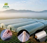 Film de serre d'usine en rouleau PE 200 microns 150 microns, bâche plastique anti-poussière pour jardinage et agriculture, idéal pour la culture de légumes et de fruits