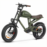 Sepeda Listrik Xili Sports 48v 750w 19.2ah Gaya Vintage Chopper Ebike Urban Retro