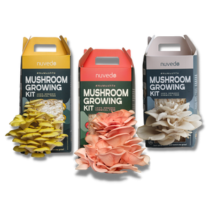 Kit de herramientas de jardín portátil para exteriores de Tres <span class=keywords><strong>Mosqueteros</strong></span> con rodillero de setas de ostra, regalo de inicio para cultivar setas - Product Image 1