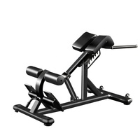 XOYOOU Commercial Fitness Multifonctionnel Pliant Gym Hyperextension Machine Réglable Banc Plat Chaise Romaine