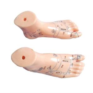 <span class=keywords><strong>Model</strong></span> akupuntur kaki 13CM untuk siswa belajar - Product Image 6