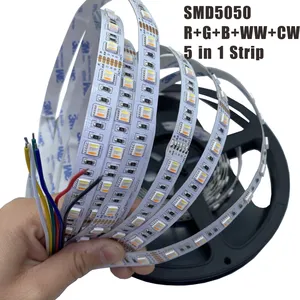 Dongguan zweireihige 12V Wechsler Netzteil LED Licht leiste Rgb 5050 Strip 120 Leds/m