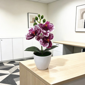 Orchidée Phalaenopsis Artificielle Paulon, 20 cm de Haut, Plante en Pot en Plastique Souple, Décoration d'Intérieur, Accessoires de Photographie - Product Image 3