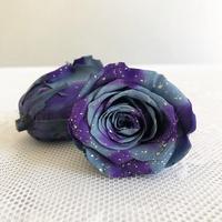 Roses éternelles de qualité supérieure |   Boîte cadeau DIY aux tons Morandi sophistiqués |   Roses fraîchement pressées, vente en gros disponible en Chine