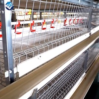 Cage à poules pondeuses de type A au design moderne, équipement avicole automatique