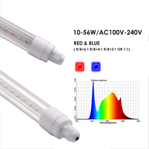 8FT หลอดไฟ LED 10W 18W 24W 36W 40W 56W 130lm/w 110lm/w Ip65 3000-5000K pF> 0.9 <span class=keywords><strong>Jizz</strong></span> 4ft 40W T8 10-56W T13สำหรับในร่ม - Product Image 1