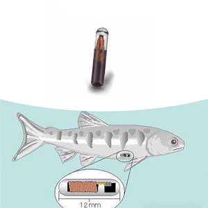 Étiquette RFID NFC 216 programmable en tube <span class=keywords><strong>de</strong></span> verre 2,12x12mm (ISO14443A) avec micro-puce lisible par téléphone pour la gestion <span class=keywords><strong>de</strong></span> la <span class=keywords><strong>recherche</strong></span> sur les poissons et les animaux - Product Image 6