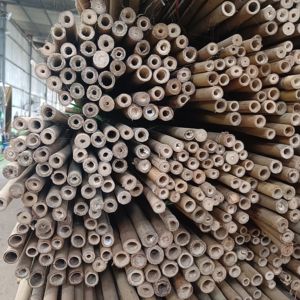 ขายส่งไม้ไผ่ตงกิ้น ไม้ไผ่สำหรับตกแต่ง<span class=keywords><strong>บ้าน</strong></span>หรืองานก่อสร้าง - Product Image 5