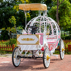 2025 kereta Pernikahan/fesyen produk baru kereta pengangkut khusus/mobil liburan wisata untuk dijual dengan harga khusus - Product Image 3