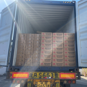 Sachets de Salsa de Tomate de Alta Calidad al por Mayor, 10g, para Hamburguesas, Pollo Frito y Pizza - Product Image 5