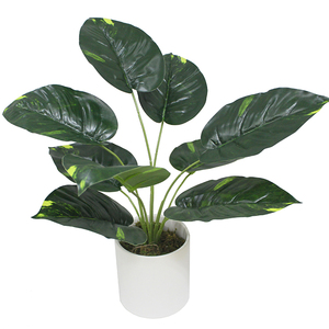 Planta Decorativa de Taro Artificial Realista, Hojas Verdes Grandes, Bonsái de Taro, Venta al por Mayor - Product Image 5