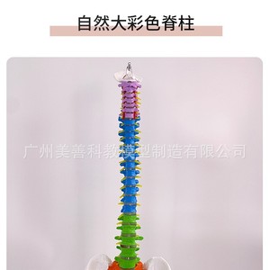 80CM1:1 - Product Image 4