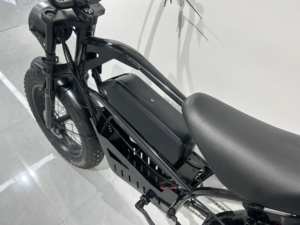 Paige Scooter Bike <span class=keywords><strong>Cube</strong></span> Kit de moteur de cycle électrique Nouveau modèle Chine National Standard Halei Bicyclette électrique - Product Image 3