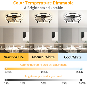 23.6'' <b>Ceiling</b> Fan With <b>Light</b> Infinite Dimming Plastic DC Motor <b>Remote</b> App <b>Control</b> Timing Low Noise for bedroom dining room - Product Image 2