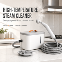 Limpiador a Vapor Portátil para el Hogar, Limpieza de Campanas de Cocina, 110V 220V, Generador de Vapor con Certificación CE