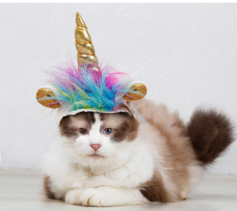 มีสีสัน