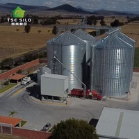 Sistema di Silos per Grano e Mais di Grande Capacità Zincato