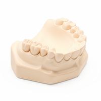 Modèle de couronne dentaire en zircone usinée avec précision pour la formation en laboratoire et la clinique, pour l'affichage, marque Ecolab, certifié ISO 9001